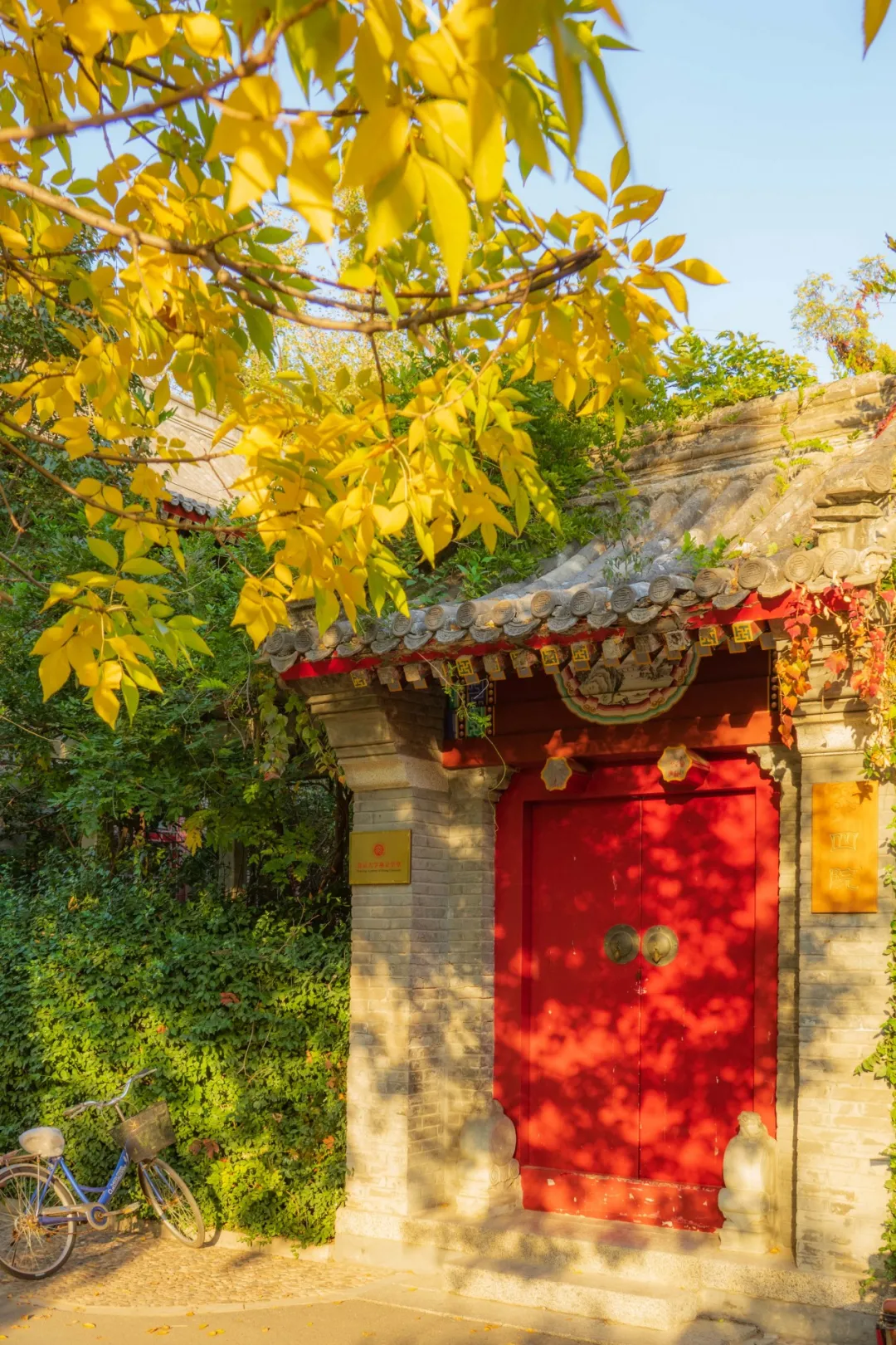 震撼!全国高校最美秋景大PK,哪所高校最最最惊艳?