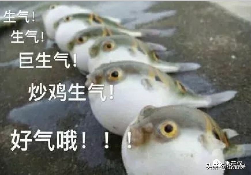 一篇文章告诉你，保险中的受益人到底是什么人？