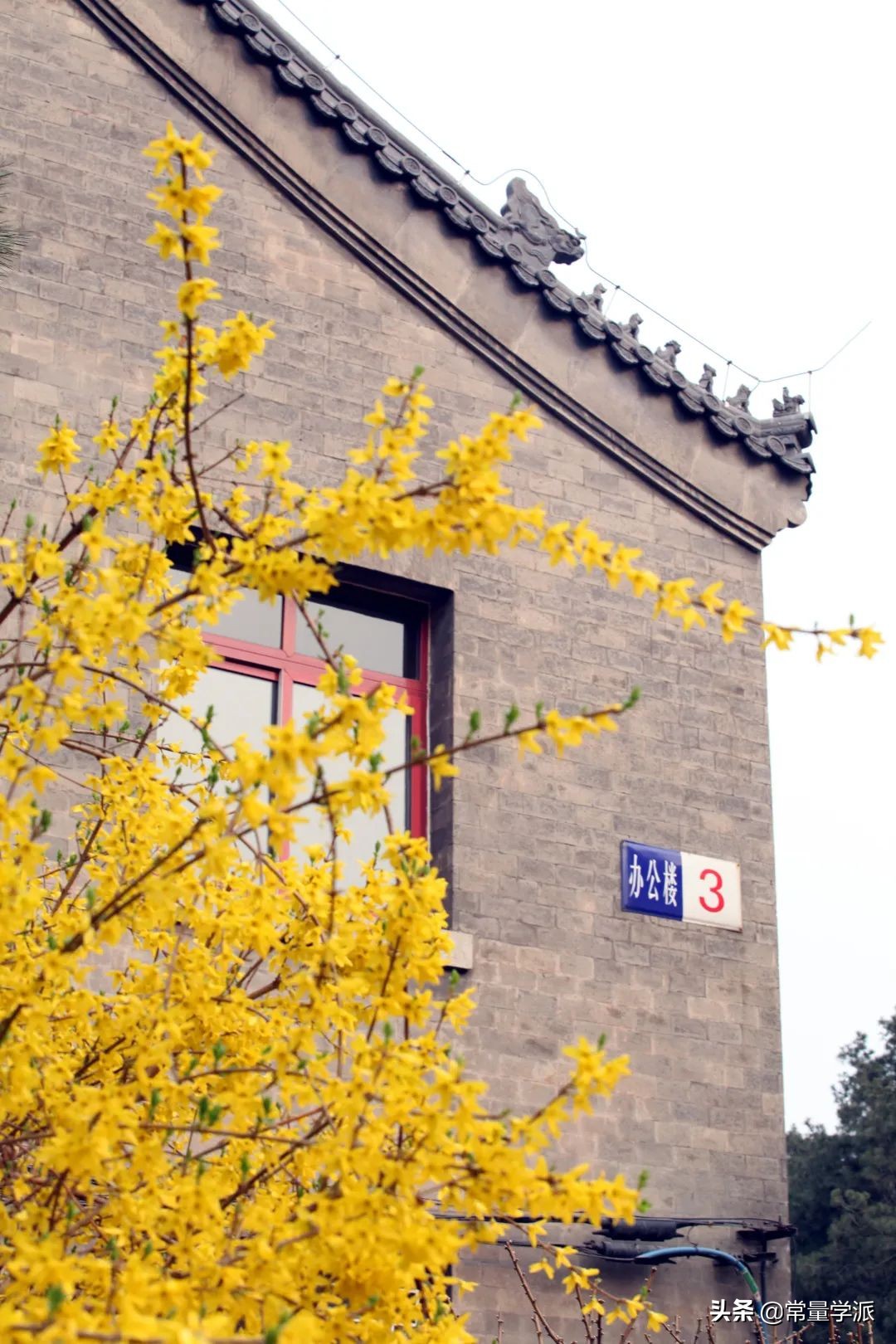 中央民族大学2020年强基计划招生简章