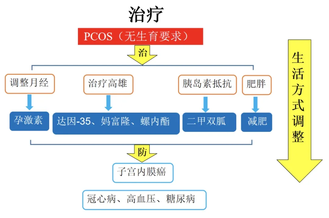 爆痘？肥胖？多毛？一直怀孕不上？一起走进多囊卵巢综合征