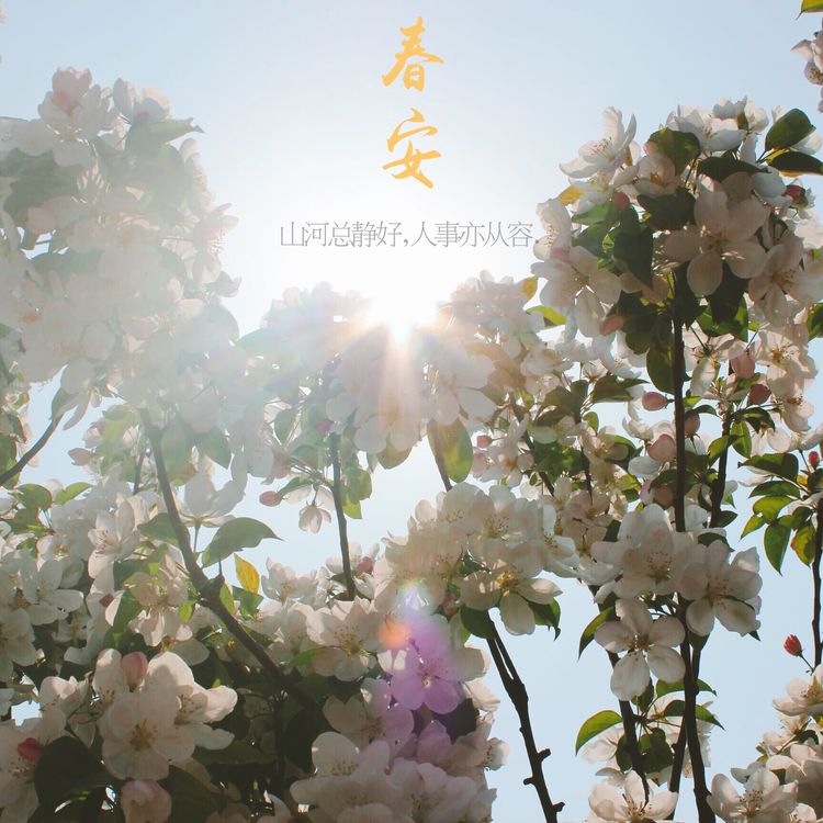 潍坊新纪元学校：开学啦！春暖花开，少年归来！