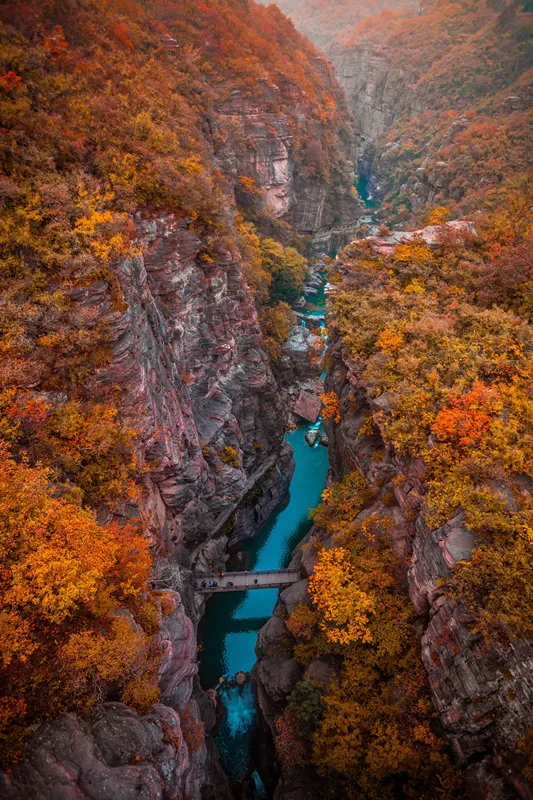 河南全省433家A级景区，免门票！中原大地的壮观美景，绝了