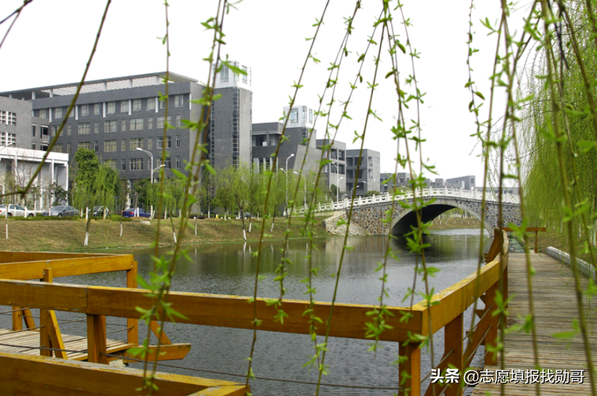 深度分析：本科麻醉学毕业生，为什么一直供不应求？