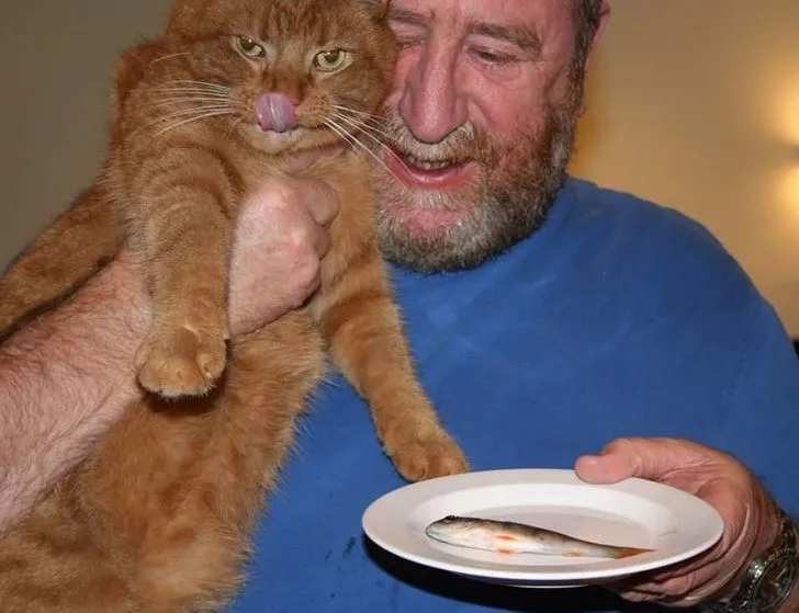 一组温暖可爱的图片：当男人养了猫，每天的画面是这样的
