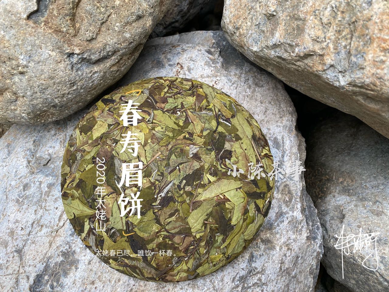 撬白茶饼的错误方法，老虎钳我忍了，微波炉加热是什么操作？