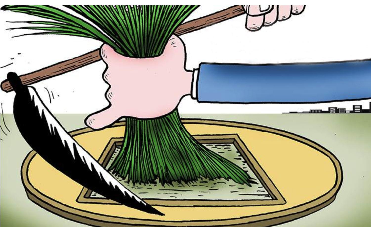 京东新造一词，令“币圈韭菜”哑口无言