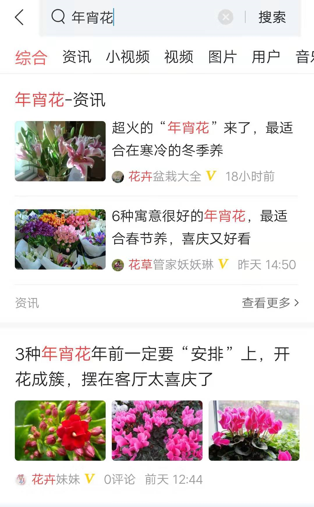 年底养盆平安树，叶子茂盛能吸灰，比发财树省心多了