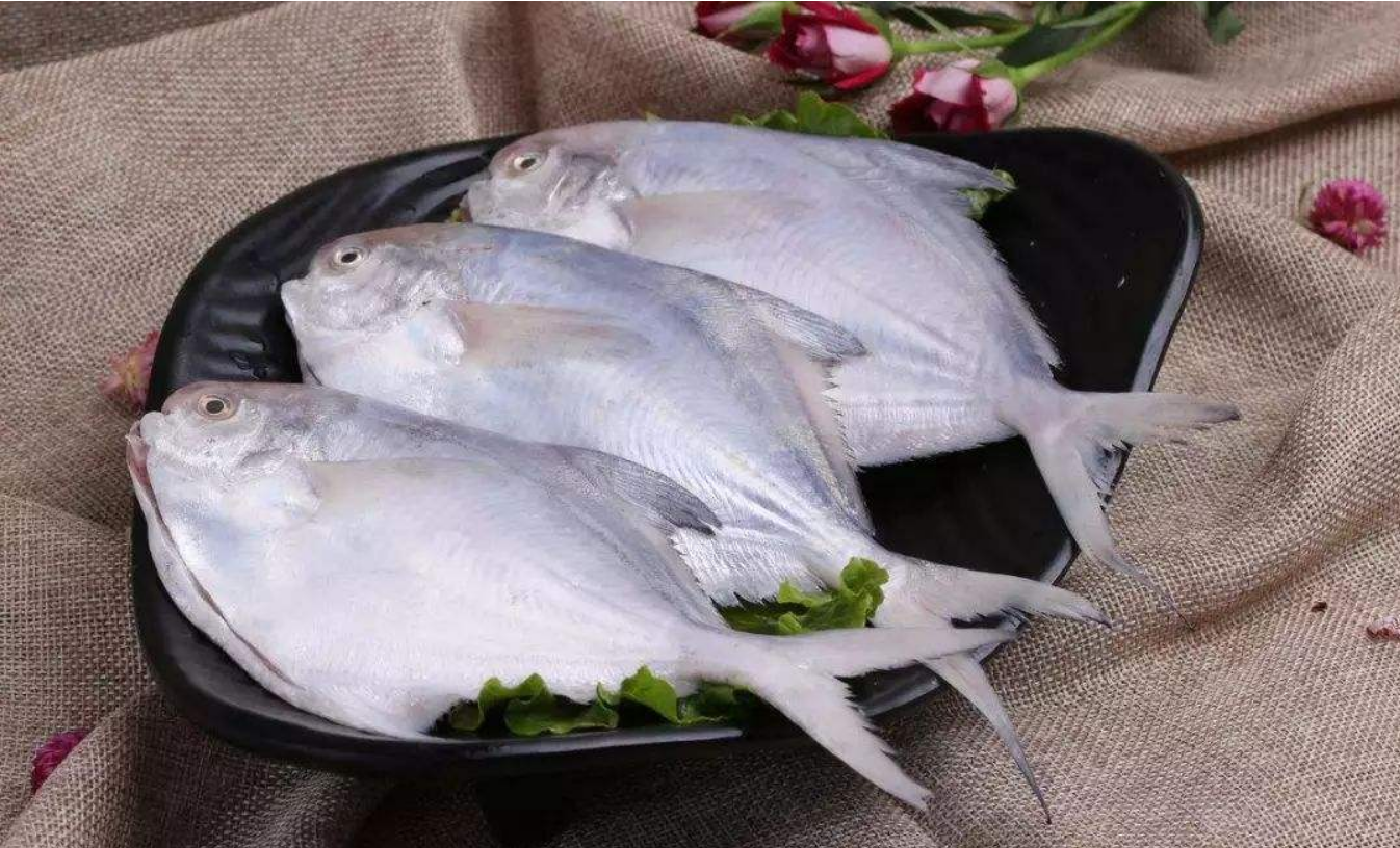 鯧魚這樣做真好吃鯧魚怎麼做好吃