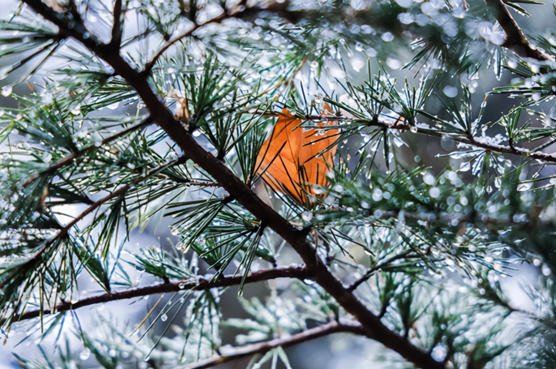 揭秘！北京“最国际范儿”大学之一：周总理关怀创办，创下多次全国第一！