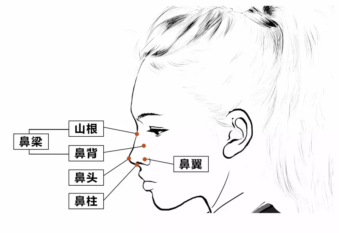 最漂亮的3种鼻子，第1种很少有人有