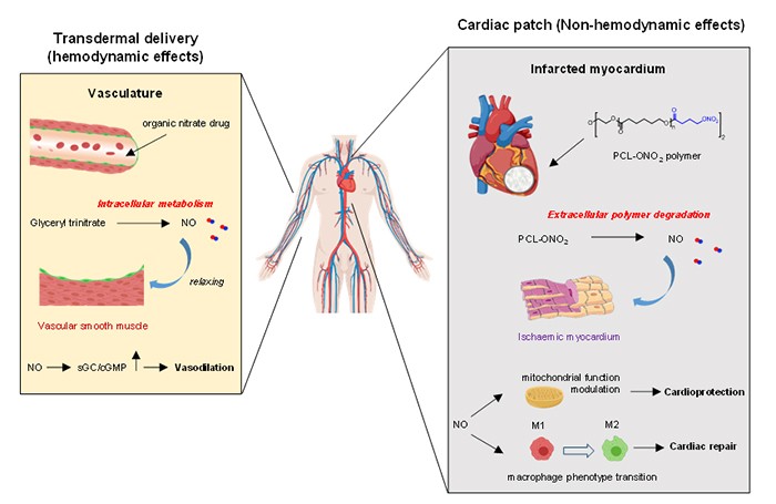 参与研发新冠疫苗，为华为提供技术，走出字节跳动创始人！揭秘周总理点赞的名校
