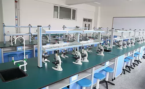 不去师大，告别吉大，这所学校凭啥成为长春家长的“团宠”？