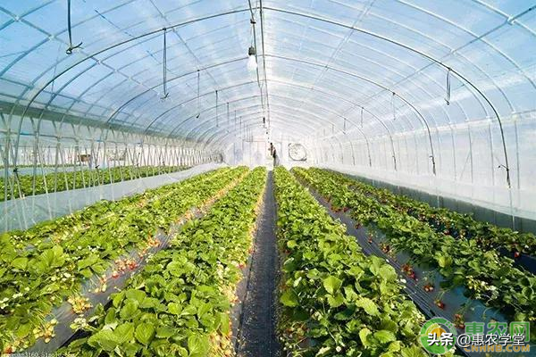 河北省農(nóng)業(yè)補貼政策都有哪些？符合條件你就能拿到