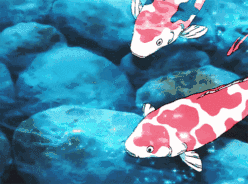 2019成人高考各省市查分入口汇总！北京地区今日率先查分