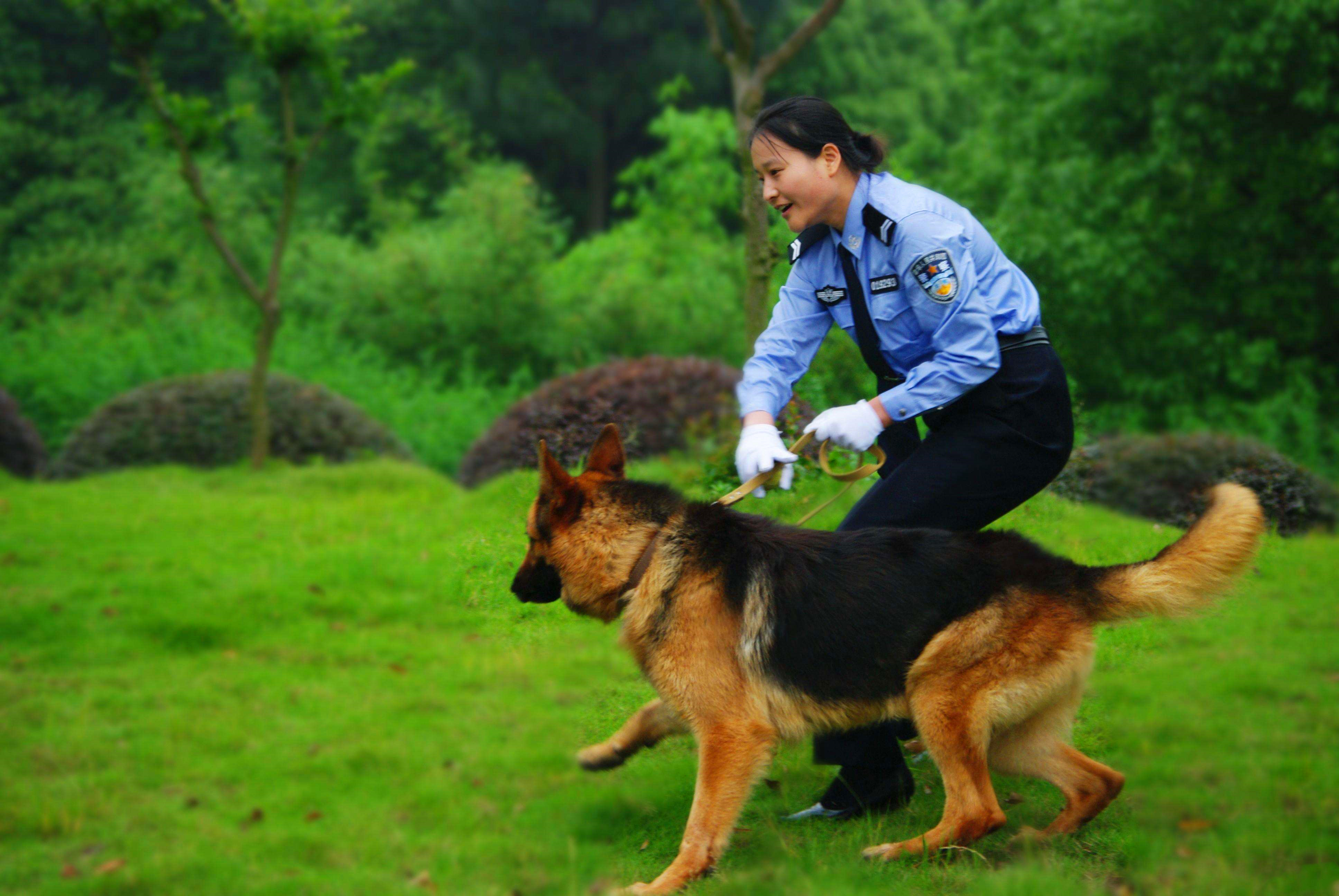 中国最新52所警校名单，收分300-650之间，考生填志愿重点关注