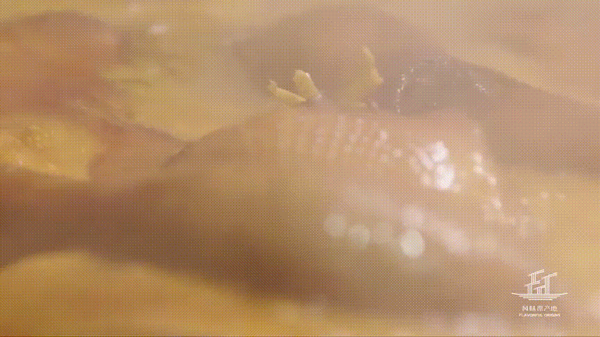 为什么吃鹅比饮茶，更让广东人疯狂？
