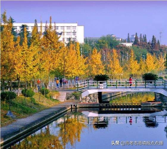 三峡大学优势专业分析及2019、2018年各省录取分数线