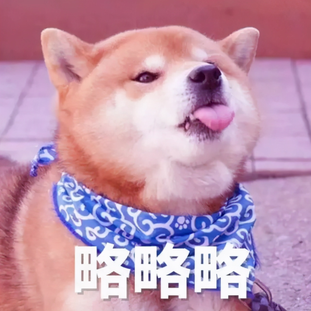 「你喜欢的大学」 拍了拍你，并说：这是你的录取通知书嘛？