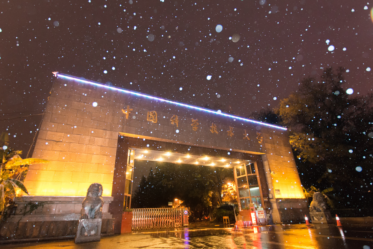 安徽省的大学排名（2020安徽省大学最新10强排名）