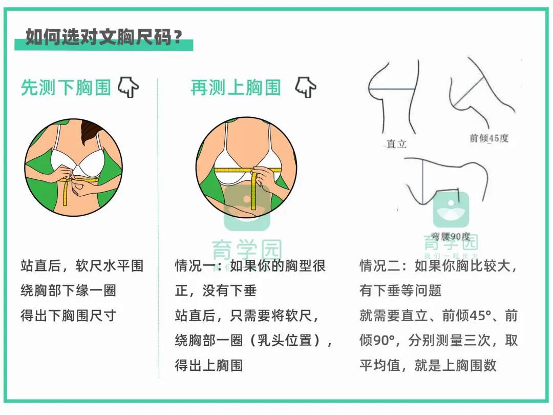 文胸多久换一次(内衣选不对会乳腺增生、乳房下垂、得乳腺癌？真相扎心了)