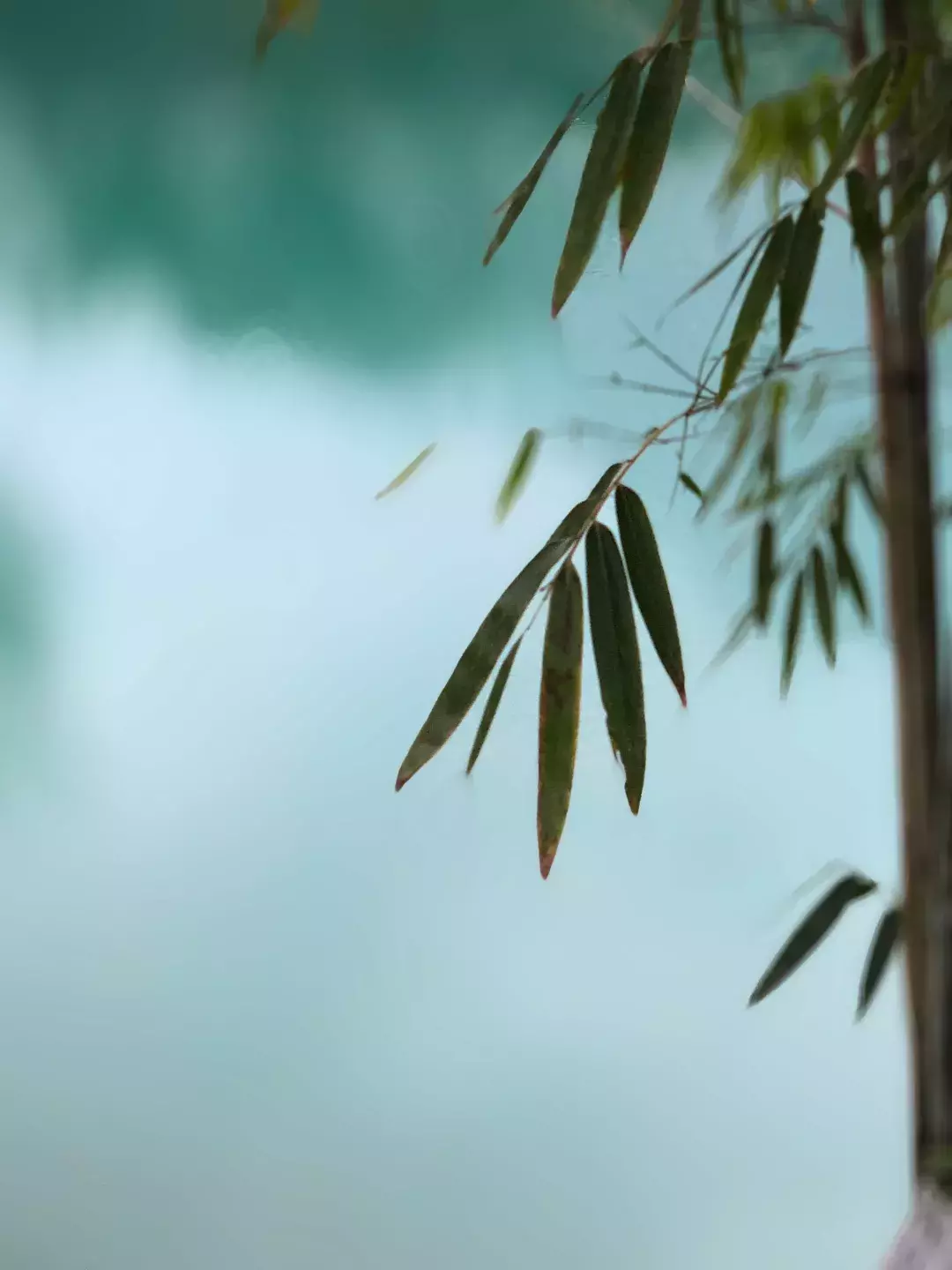 手机就能拍出唯美中国画？画意摄影居然这么容易！