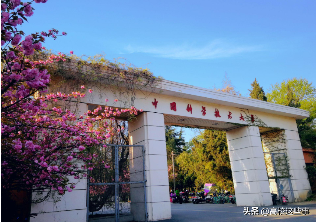 院士数量高校排名十强，中国科学技术大学排第五，武汉大学垫底