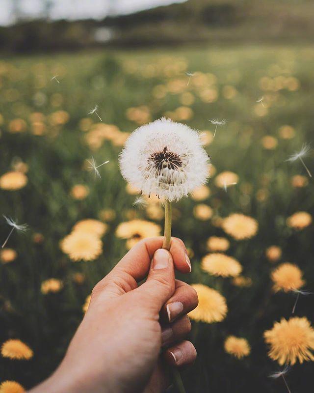 快乐晚安唯美句子