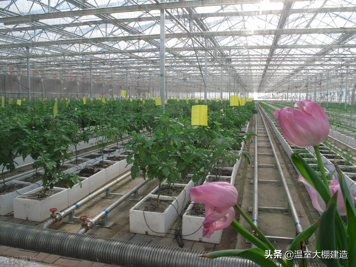 温室大棚各类冬季加温系统的优缺点