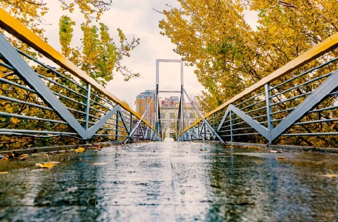 重磅发布 | 黑龙江大学2020年招生热点透视