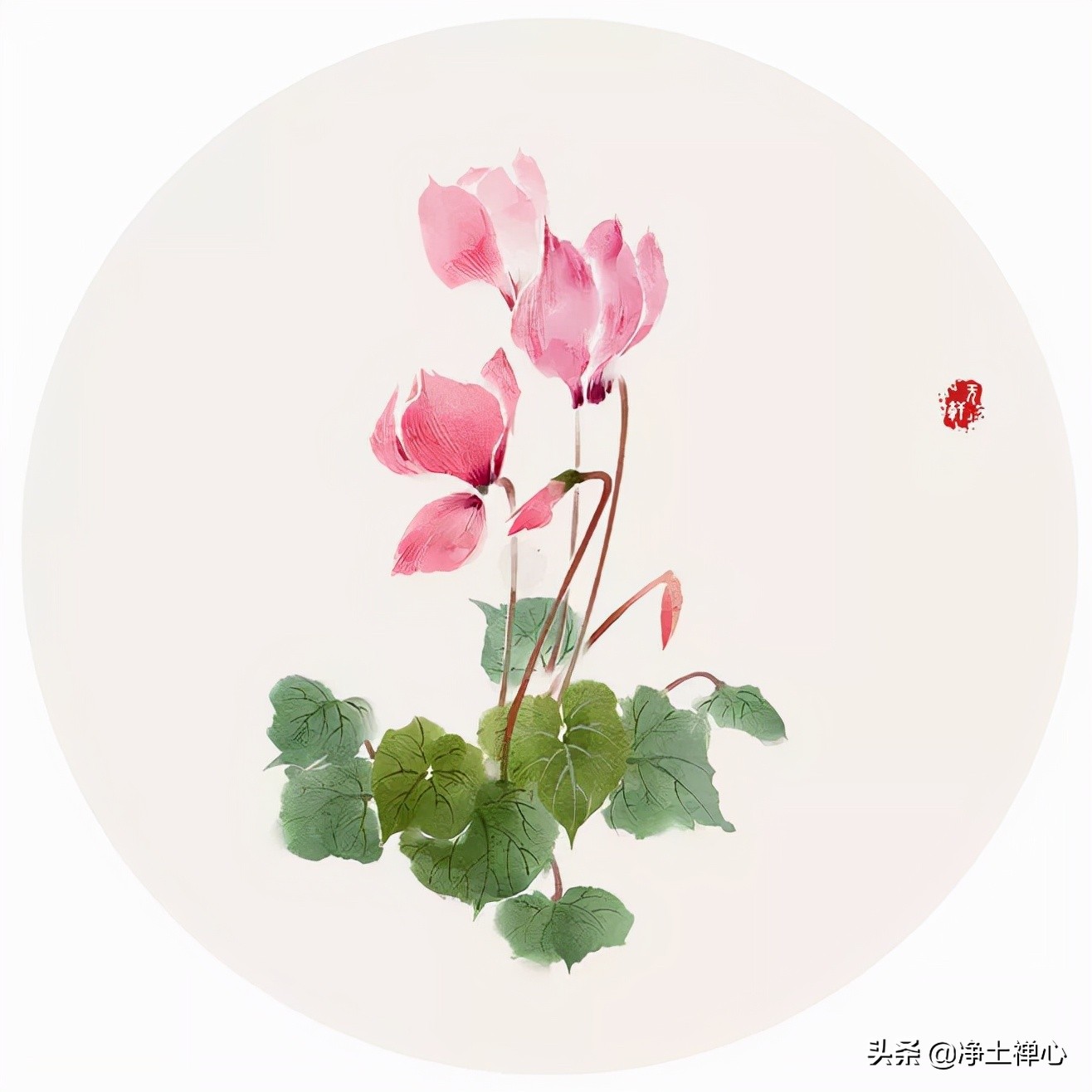 又是九月九，但愿人长久