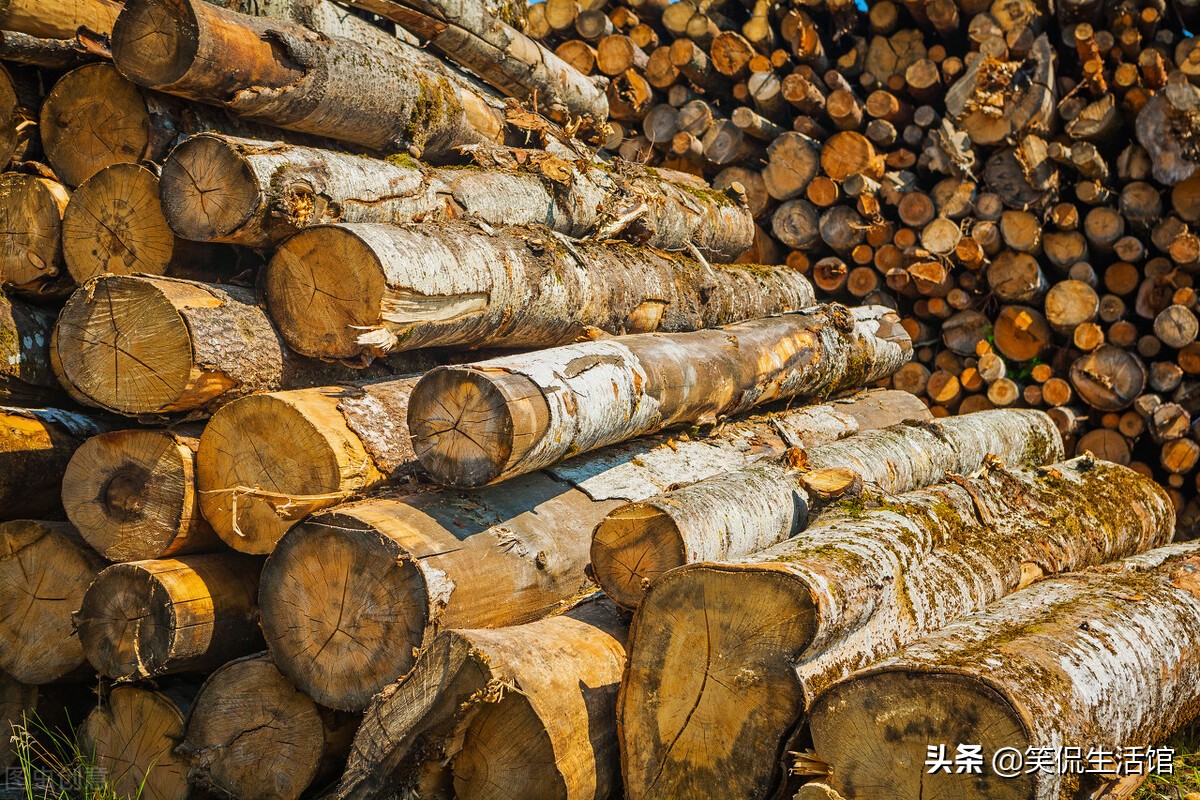 为何有人花钱去农村收旧木头？旧木头有何用途？你需要了解下