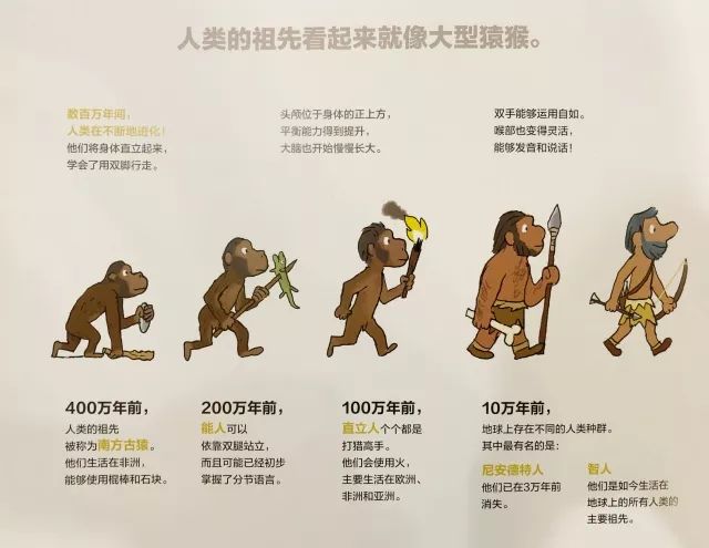 在原始社会,至少有6种不同人类物种,为何智人能成为唯一的人类