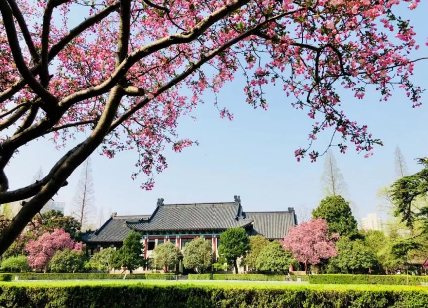 高清大图惊艳来袭！江苏这些“校花”神仙颜值，你Pick哪一个