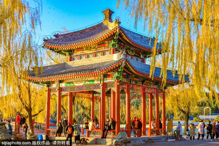 金碧辉煌佛香阁,光芒万丈玉峰塔.知春亭旁赏金柳,昆明湖畔沐斜阳!