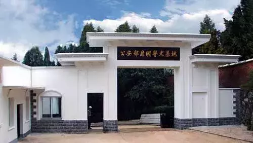 中华田园犬，忠诚勇敢，是唯一被认可的中国本土警犬！