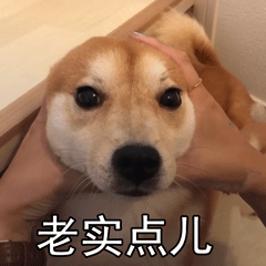 【搞笑段子】晚上逛超市结账时发现没带钱，打电话要老公送钱来