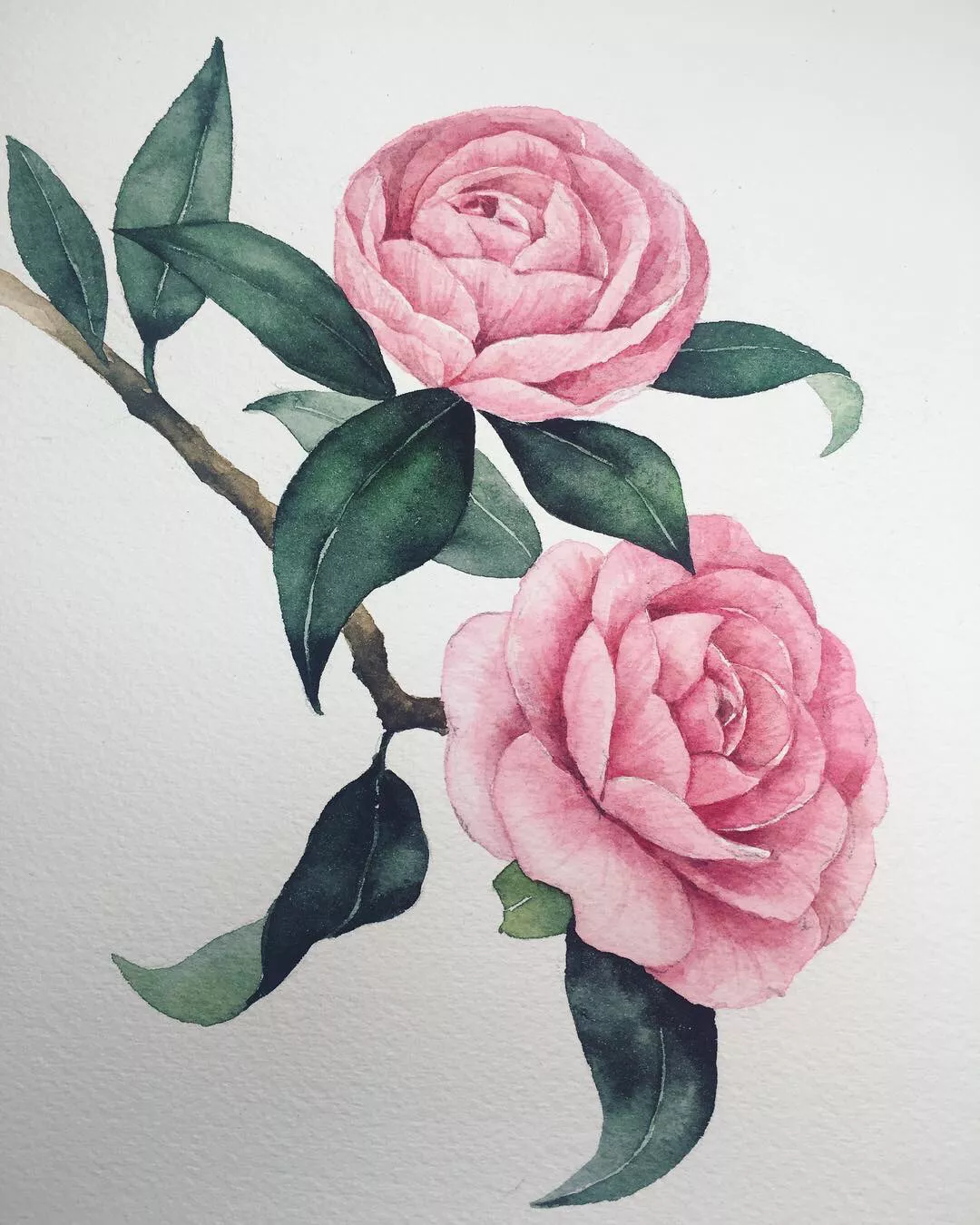 她的水彩花卉画的很美,让人看了有种初恋的感觉!