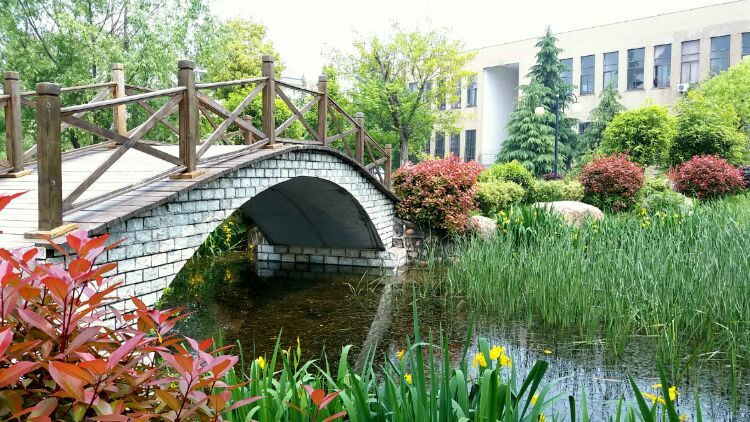 安徽工业大学，曾是两所学校 华东冶金学院和安徽商业专科学校