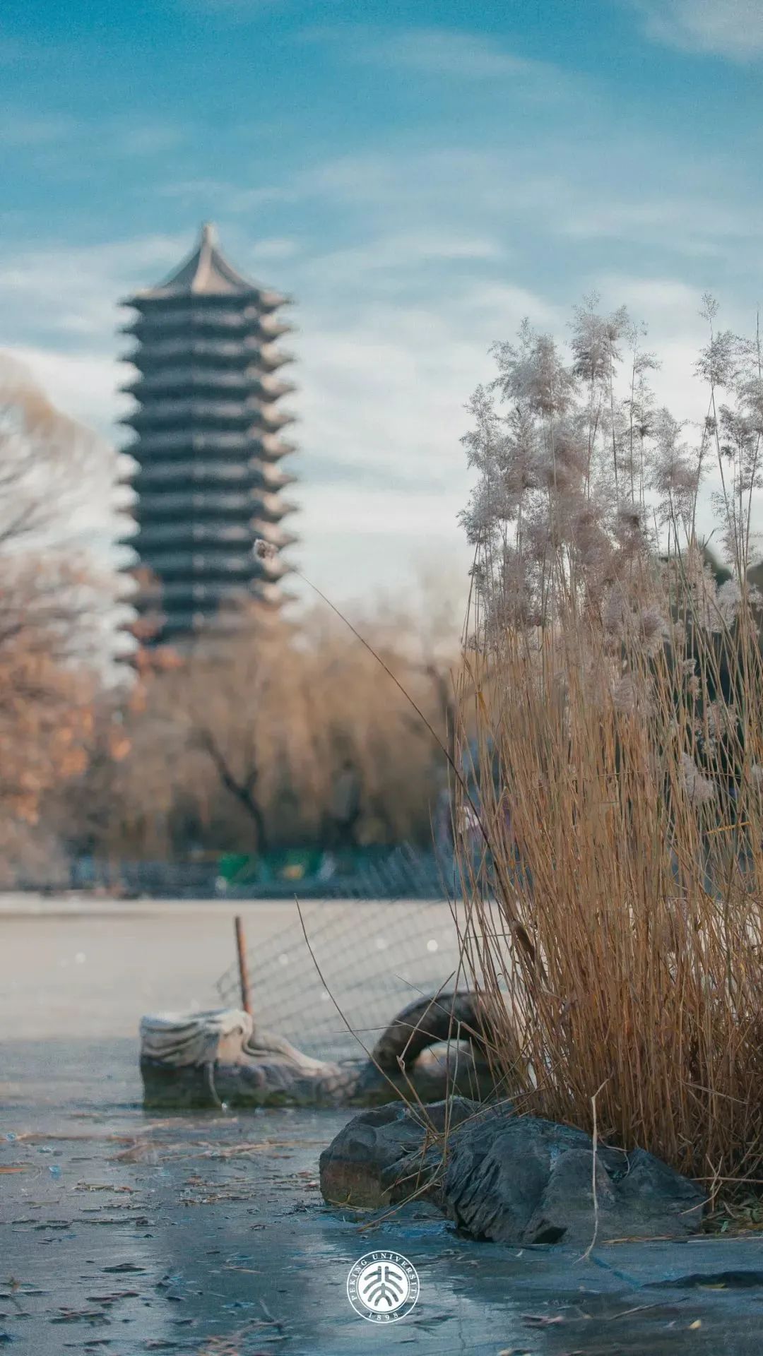 你的理想大学，终于被做成了手机壁纸