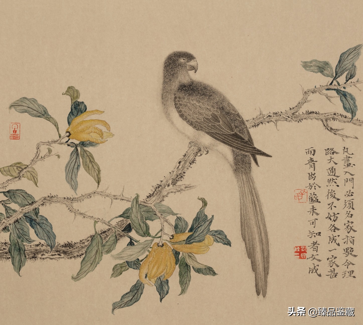 走到黑走到明 | 孔文成花鸟画的脉路