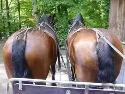 人造革是什么样子的（超全面珍稀皮革博览：33种罕见皮革材料图文集合）