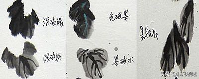 中国画写意花鸟画入门大全