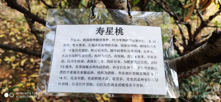 陪你一起看湖北省广水一中①——走进植物王国