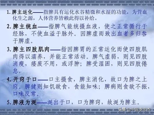 五脏的生理功能——脾脏
