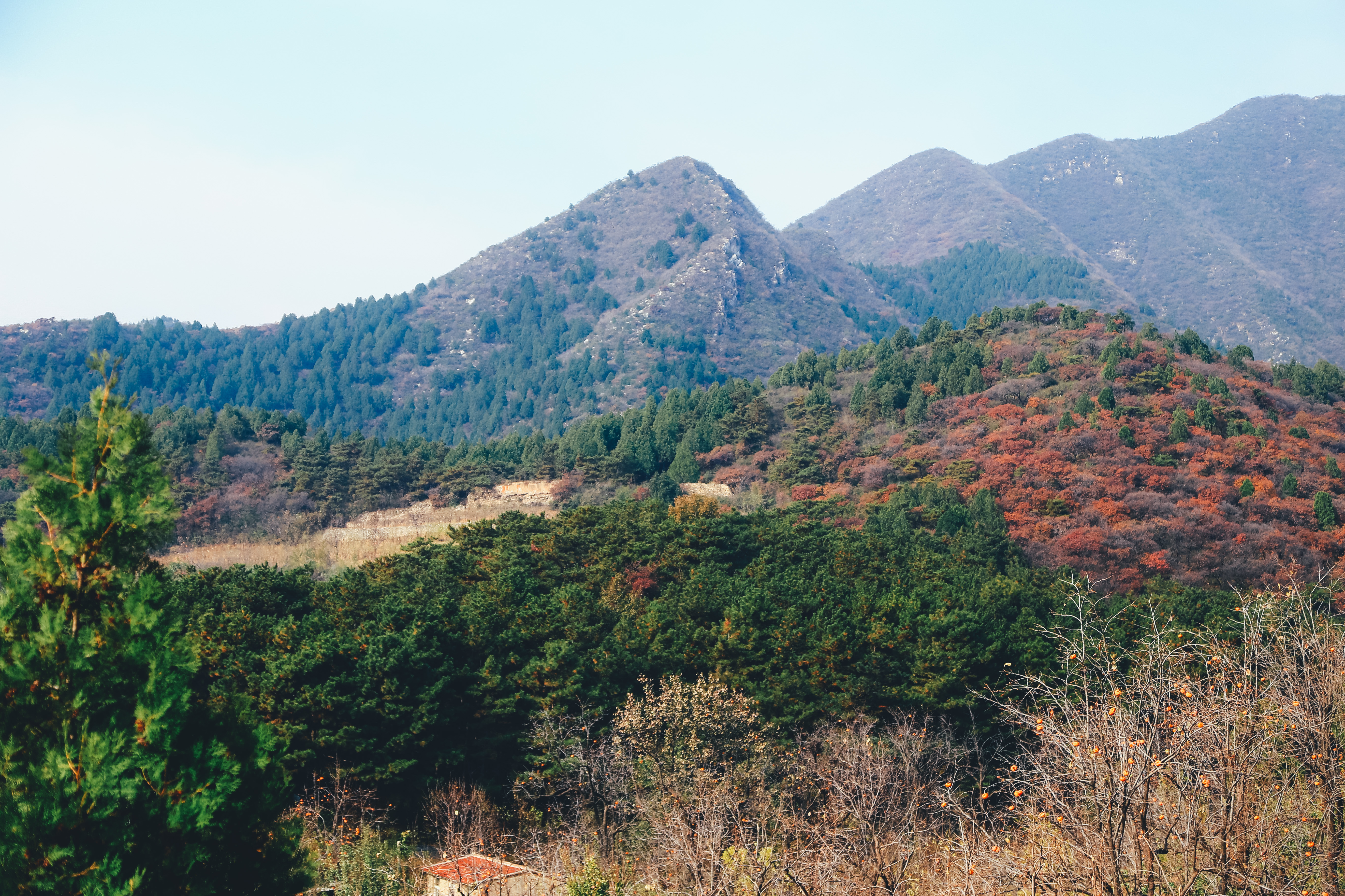 十三位皇帝埋葬于此风水宝地，有无尽的财富，无一人敢去盗墓