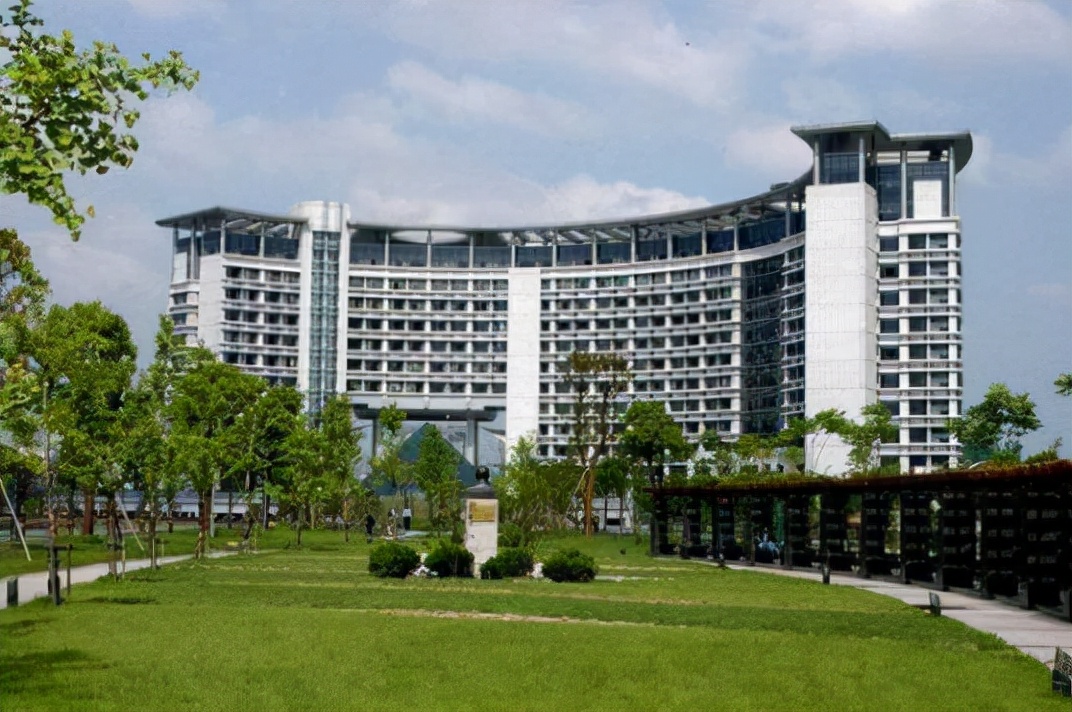 她是雪梨、林珊珊背后的真正推手，小妹的相却有大姐的范