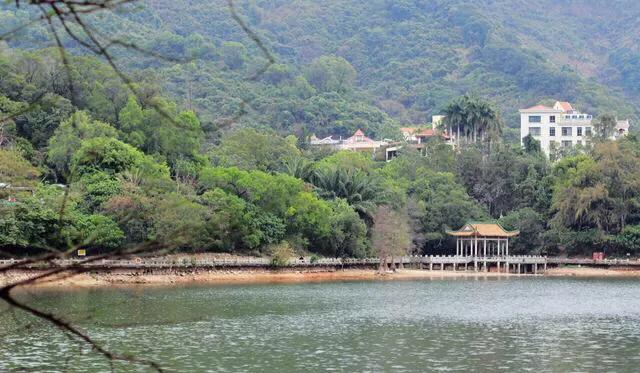 深圳十大免费特色的湖泊公园
