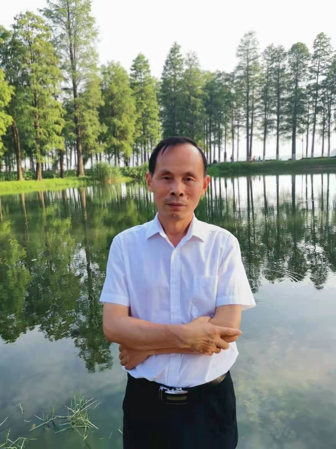 谁在蝉声中禅悟？这声音高不可攀，这声音另有隐情