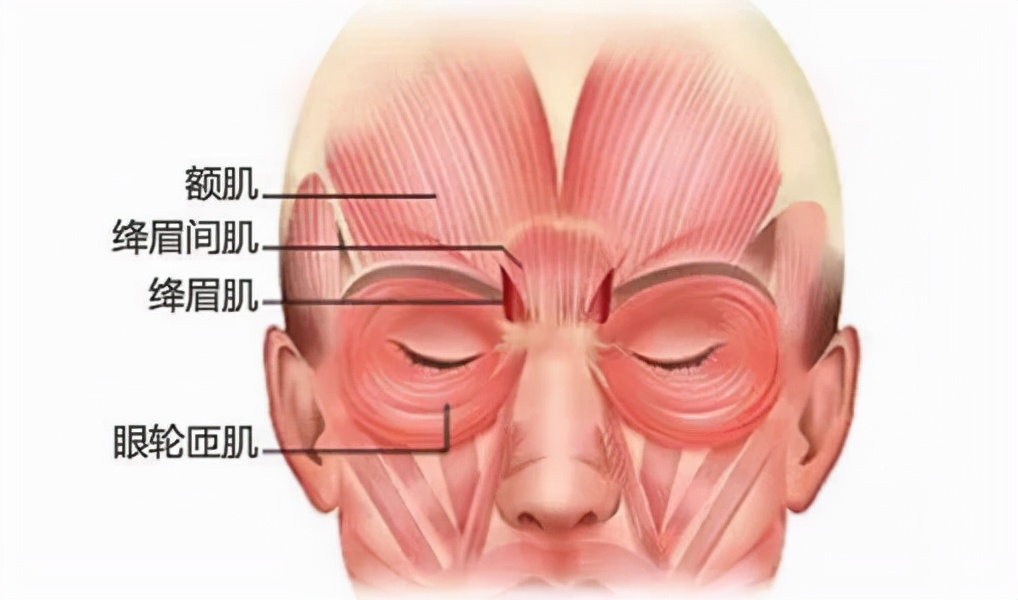 左眼跳财，右眼跳灾？眼皮乱跳，该如何处理？