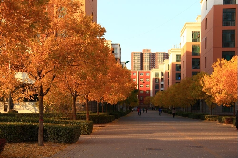 张莉升学分析：美术联考235分文化428分，考山西大学难吗？